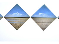 Ger dekkers -bulb-fields, noordoostpolder, holland - offset - 1979 - lage instel - afbeelding 5 van  6