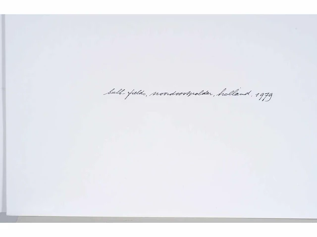 Ger dekkers -bulb-fields, noordoostpolder, holland - offset - 1979 - lage instel - afbeelding 3 van  6