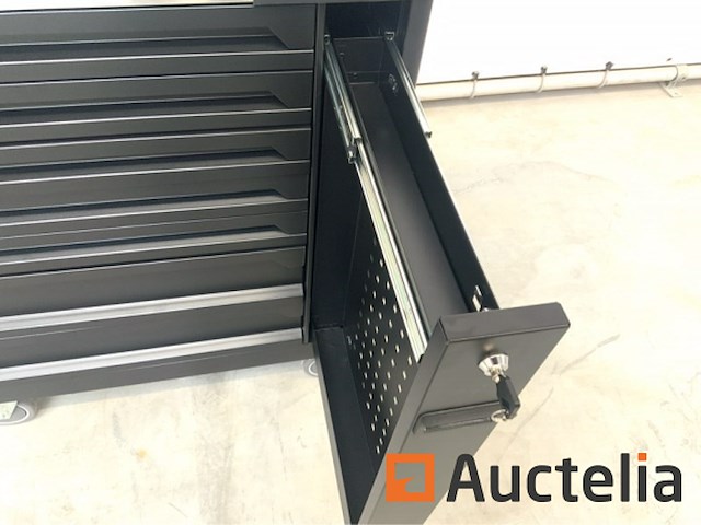 Gereedschapswagen 250 delig - afbeelding 11 van  16