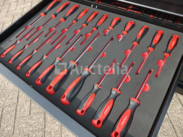 Gereedschapswagen profi eversteel 14/11 - afbeelding 23 van  25