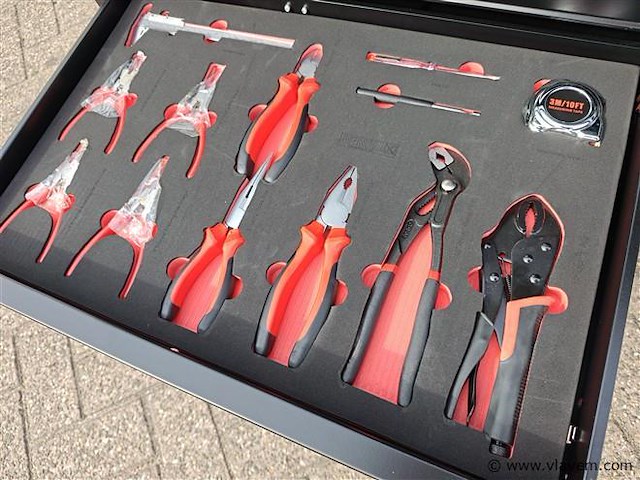 Gereedschapswagen profi eversteel 14/11 - afbeelding 15 van  23