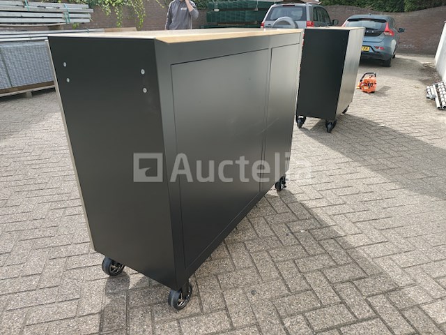 Gereedschapswagen profi xxxl - afbeelding 11 van  32