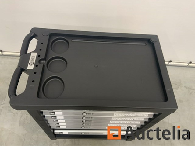 Gereedschapswagen sg-tools 257-delig - afbeelding 7 van  13