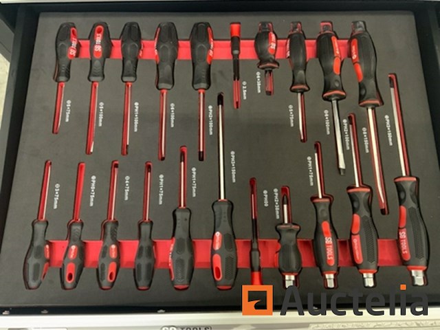 Gereedschapswagen sg-tools 257-delig - afbeelding 5 van  13