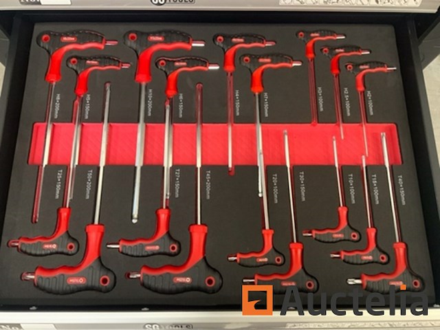 Gereedschapswagen sg-tools 257-delig - afbeelding 12 van  13