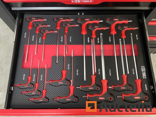 Gereedschapswagen sg tools 311 delig - afbeelding 21 van  24