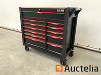 Gereedschapswagen sg tools 311 delig - afbeelding 18 van  24