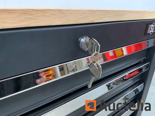 Gereedschapswagen stahlgruppe 258 delig - afbeelding 3 van  14