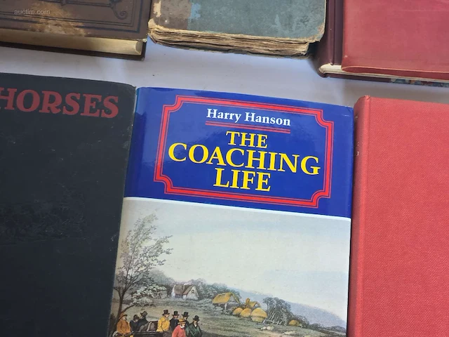 Geschiedkundig boeken coaching (10x) - afbeelding 11 van  14
