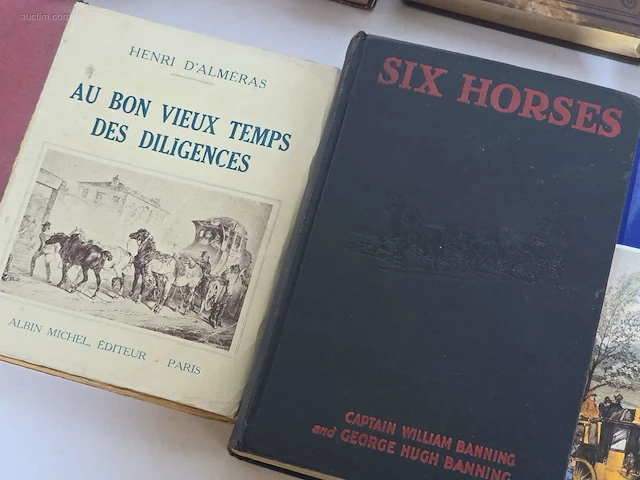 Geschiedkundig boeken coaching (10x) - afbeelding 12 van  14