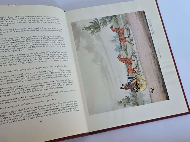 Geschiedkundig boeken coaching brighton and its... - afbeelding 2 van  10