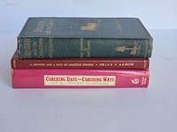 Geschiedkundig boeken coaching brighton and its...
