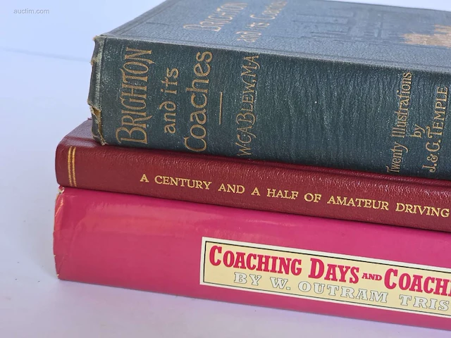Geschiedkundig boeken coaching brighton and its... - afbeelding 3 van  10