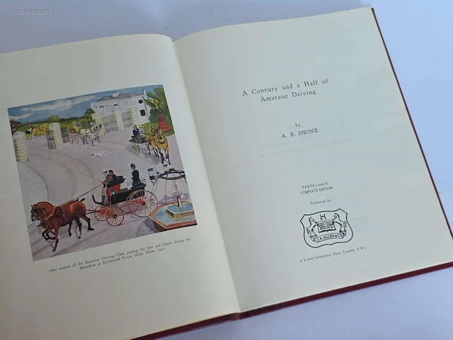 Geschiedkundig boeken coaching brighton and its... - afbeelding 10 van  10