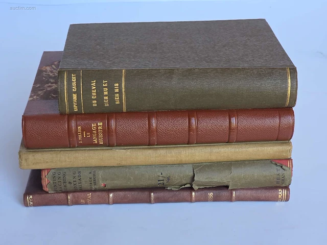 Geschiedkundig boeken coaching le langage... - afbeelding 1 van  9