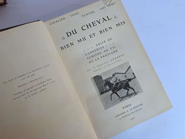 Geschiedkundig boeken coaching le langage... - afbeelding 8 van  9