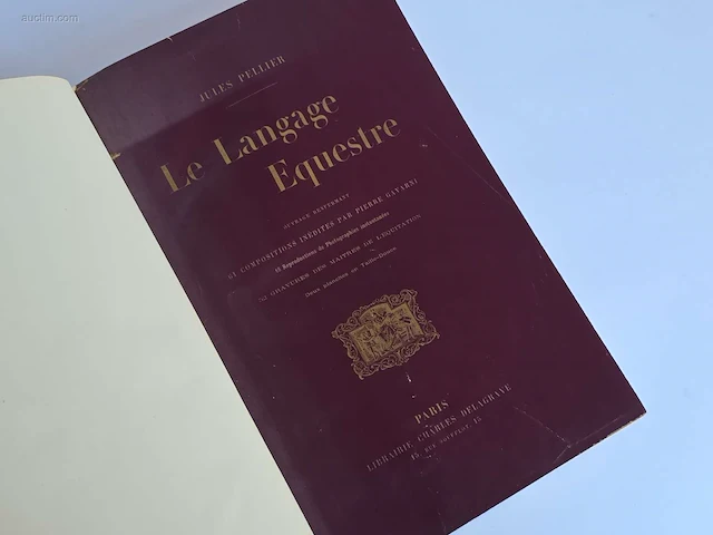 Geschiedkundig boeken coaching le langage... - afbeelding 9 van  9