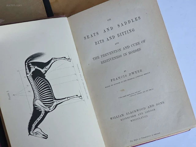 Geschiedkundig boeken en schriften: tuigenmakerij... - afbeelding 10 van  10