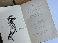 Geschiedkundig boeken en schriften: tuigenmakerij... - afbeelding 10 van  10