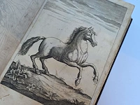 Geschiedkundig boeken hoefsmederij le nouveau... - afbeelding 2 van  10