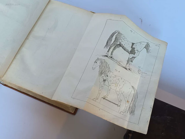 Geschiedkundig boeken hoefsmederij le nouveau... - afbeelding 8 van  10