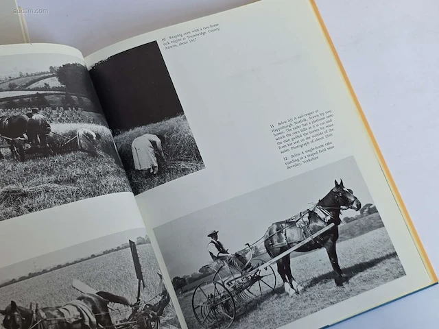 Geschiedkundig boeken paardenkennis das pferd... - afbeelding 5 van  14