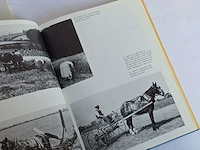 Geschiedkundig boeken paardenkennis das pferd... - afbeelding 5 van  14