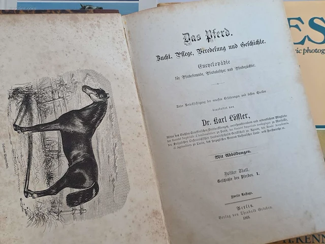 Geschiedkundig boeken paardenkennis das pferd... - afbeelding 13 van  14