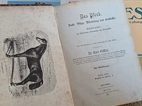 Geschiedkundig boeken paardenkennis das pferd... - afbeelding 13 van  14