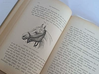 Geschiedkundig boeken paardenkennis de l'ecurie,... - afbeelding 7 van  15