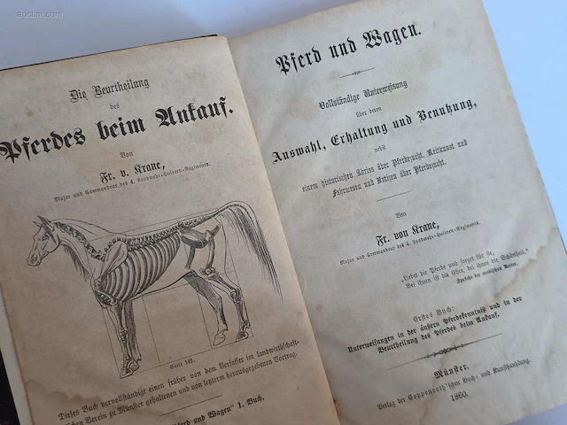Geschiedkundig boeken paardenkennis de l'ecurie,... - afbeelding 14 van  15