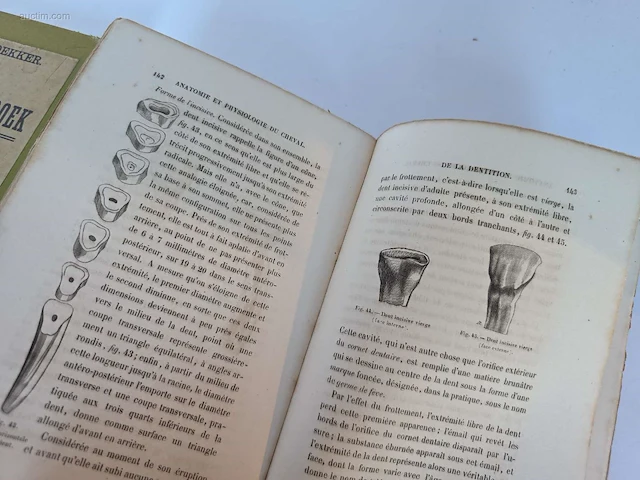 Geschiedkundig boeken paardenkennis het... - afbeelding 2 van  10