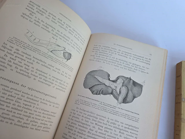 Geschiedkundig boeken paardenkennis het... - afbeelding 9 van  10