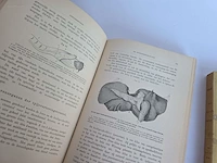 Geschiedkundig boeken paardenkennis het... - afbeelding 9 van  10