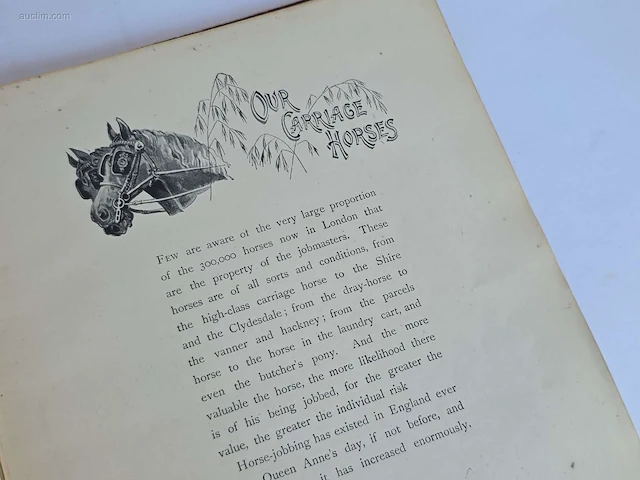Geschiedkundig boeken paardenkennis hoofs in the... - afbeelding 7 van  9