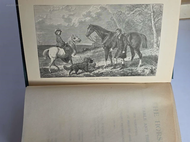 Geschiedkundig boeken paardenkennis le cheval,... - afbeelding 2 van  14