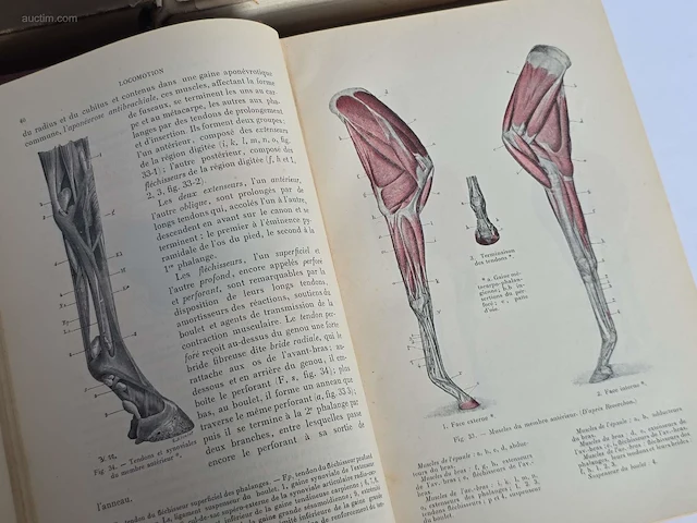 Geschiedkundig boeken paardenkennis le cheval,... - afbeelding 11 van  14