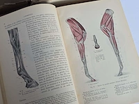Geschiedkundig boeken paardenkennis le cheval,... - afbeelding 11 van  14