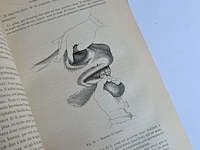 Geschiedkundig boeken paardenkennis le parfait... - afbeelding 7 van  16