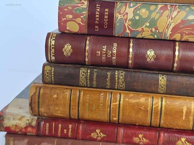 Geschiedkundig boeken paardenkennis le parfait... - afbeelding 11 van  16