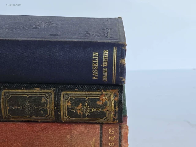 Geschiedkundig boeken paardenkennis reiter pfero... - afbeelding 7 van  12