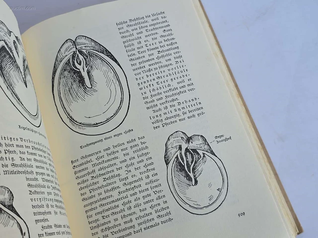 Geschiedkundig boeken paardenkennis reiter pfero... - afbeelding 10 van  12