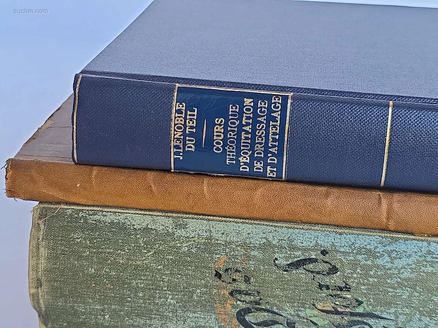 Geschiedkundig boeken rij en menkuns cours... - afbeelding 5 van  11
