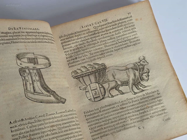 Geschiedkundig boeken rijkunst der vollfommene... - afbeelding 5 van  5