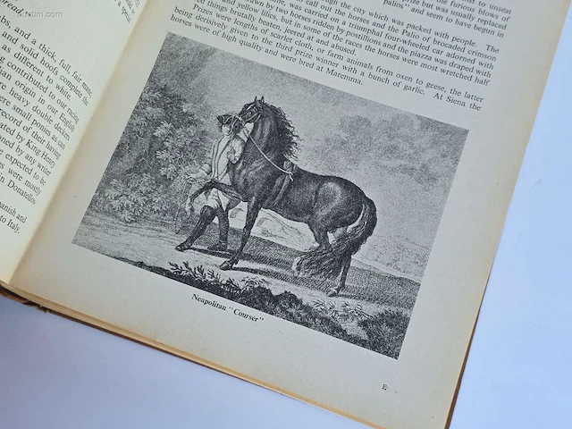 Geschiedkundig boeken the book of the horse, la... - afbeelding 13 van  17