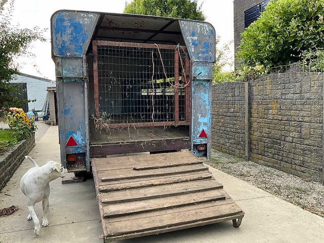 Gesloten vee-/dierenaanhangwagen - afbeelding 8 van  11