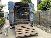 Gesloten vee-/dierenaanhangwagen - afbeelding 8 van  11