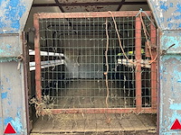 Gesloten vee-/dierenaanhangwagen - afbeelding 10 van  11
