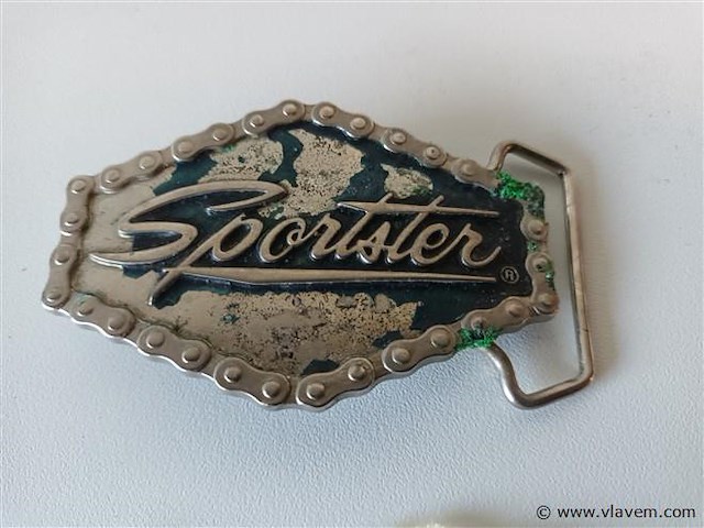 Gesp harley davidson - afbeelding 2 van  3