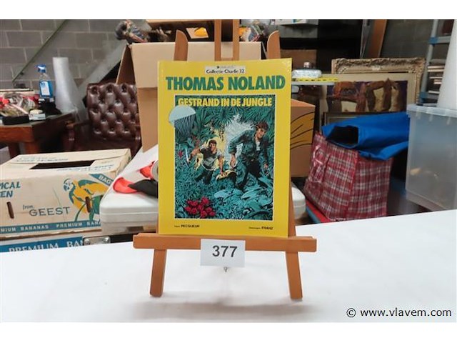 Gestrand in de jungle - afbeelding 1 van  2